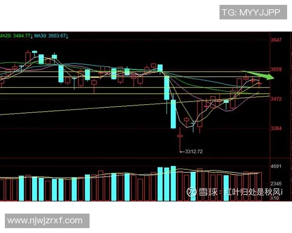 武汉乒乓球队与西安乒乓球队赛后复盘分析比赛节奏与战术对比